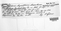 Image Associated With the Occurence